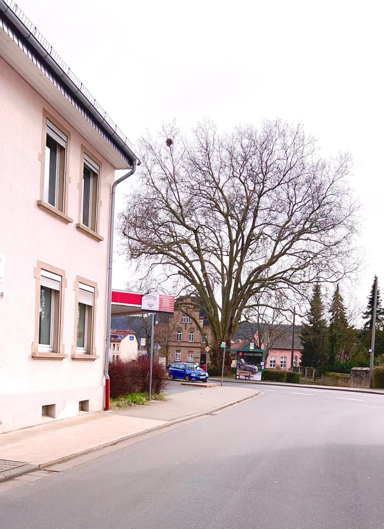 Vinaring Homestay Bad Sobernheim Exteriér fotografie